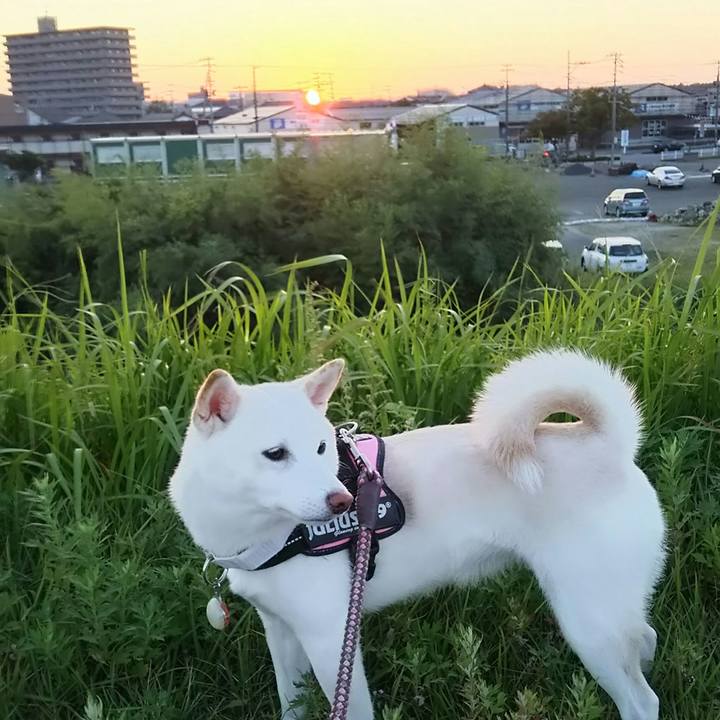 3dc95571 8eb3 46bc 9026 01b02b25ef15