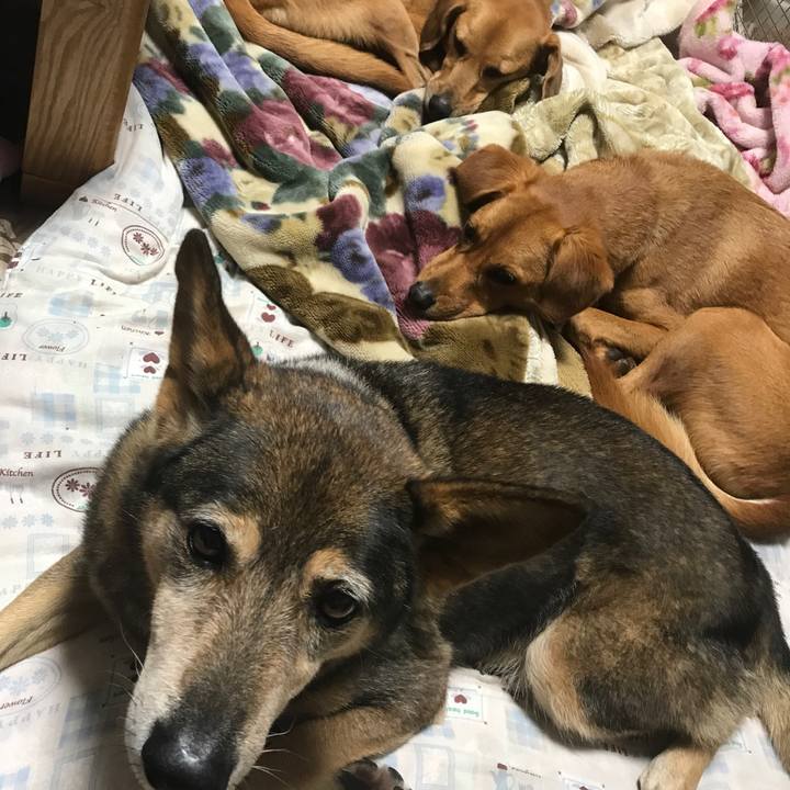 3dc9a151 6b27 4c26 b535 c4633013fc83