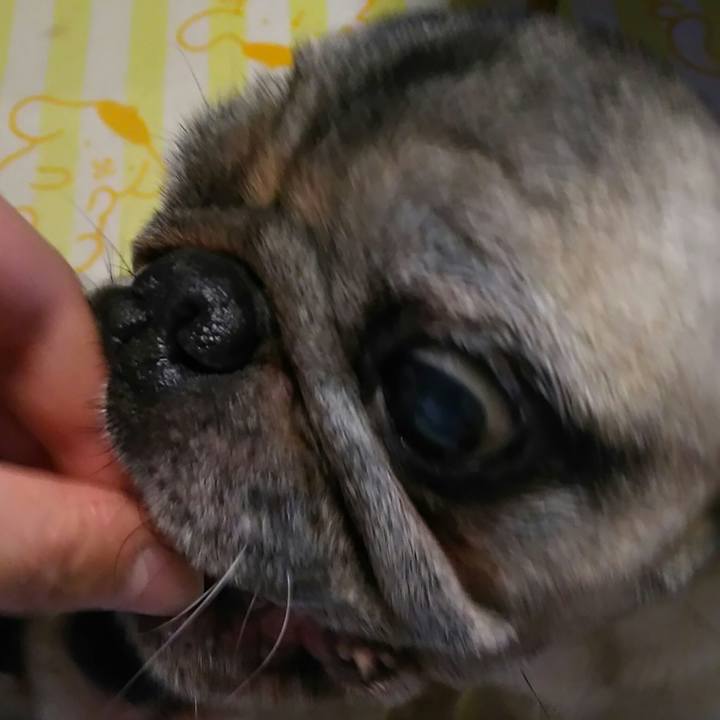 3dca1c34 5462 49b6 84a7 319236e99472