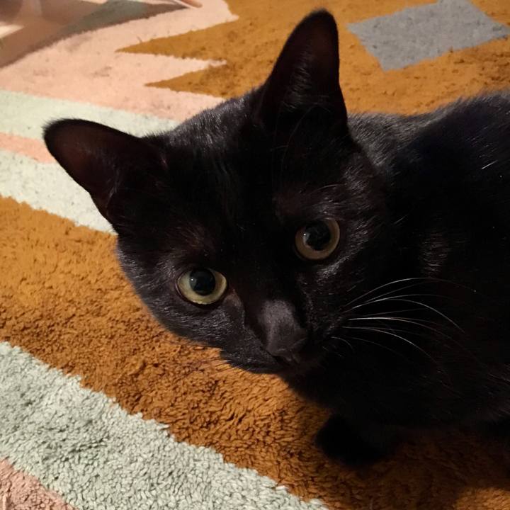 3dca3356 b967 4504 a856 0f02adaf4402