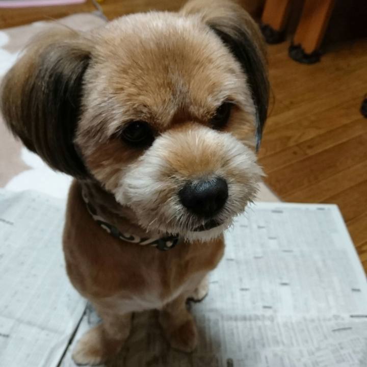 3dca74a6 40fc 4ec5 83d2 a95ea8f21d36