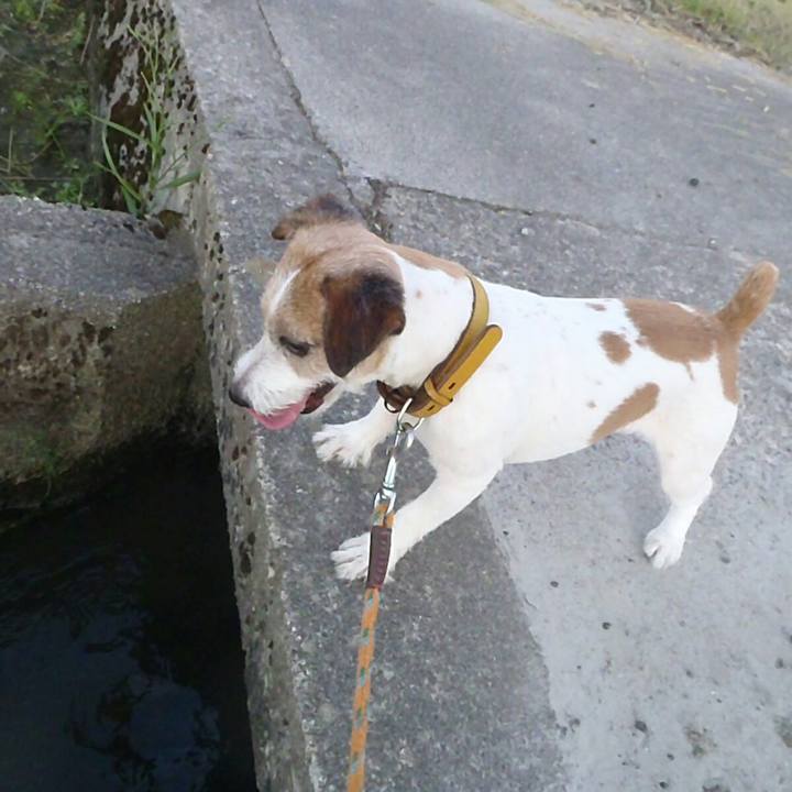 3dcadca2 d293 47fb 8bbb af4096006abd