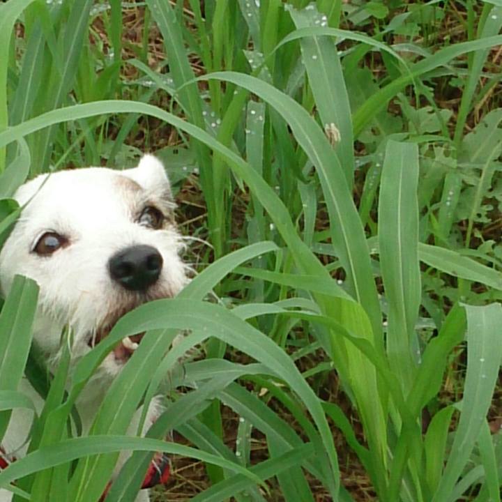 3dcb3c8f 4ff5 4714 9764 4ebe3cbf3ac9