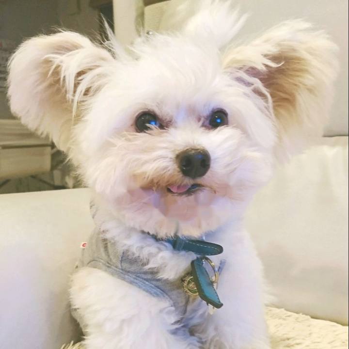 3dcb9740 cc40 4d4b 81a5 5b62af15747a