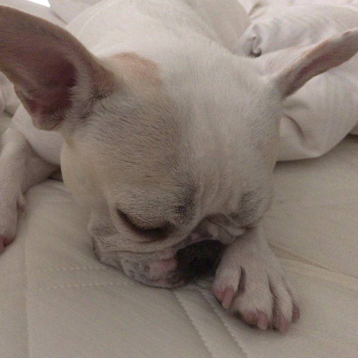 3dcbd627 3141 4cfb b19b bf19920b1271