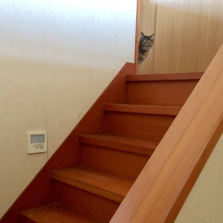 3dcbde94 d6fb 49c0 bdaa 6fb3c79c696a