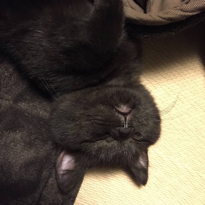 3dcc9cf8 e733 41cf 9fd9 c9f92cef2845