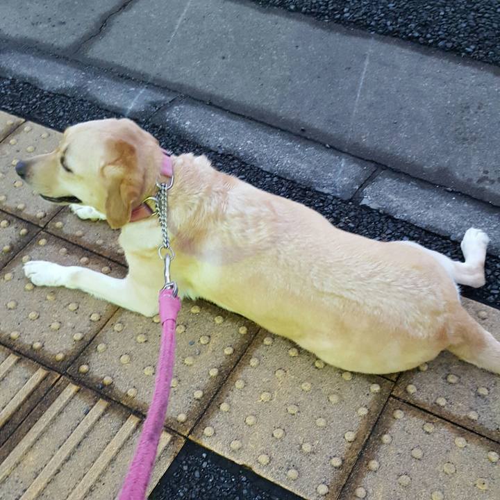 3dcd2d8b ea4b 4b0b 82aa 9212cbd5c216