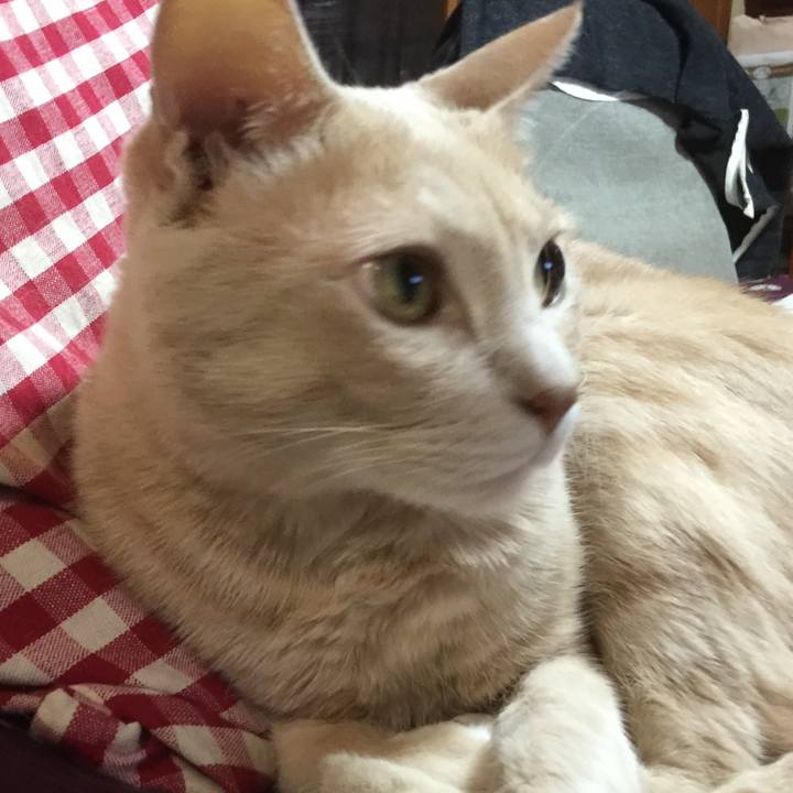 3dcd374b 8fd7 45c2 9771 76d37eb8c583