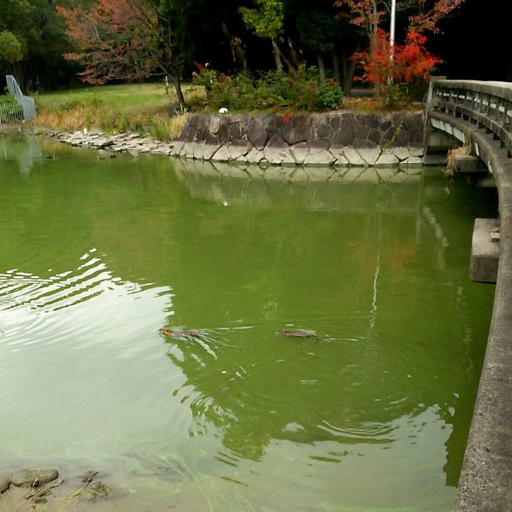 3dce45bc 5112 40d5 9a77 ac4ccb88ff72