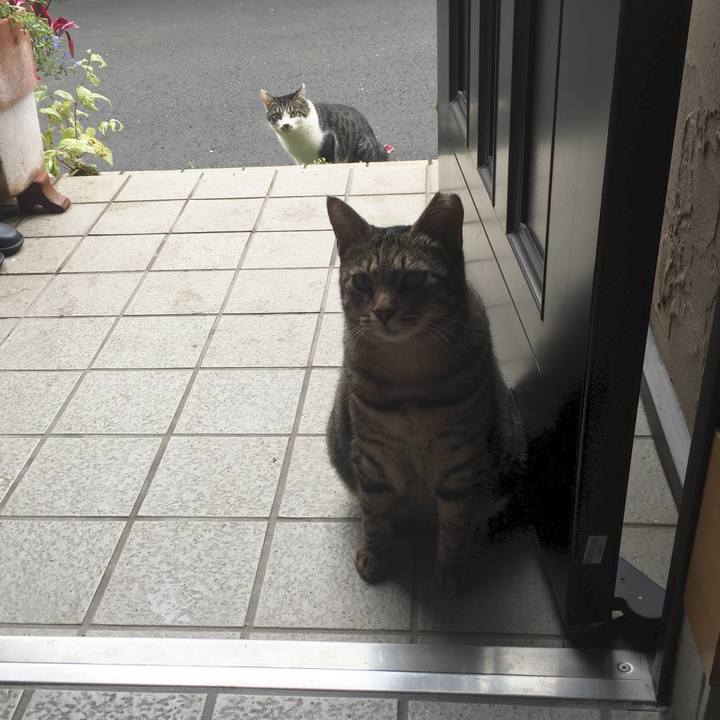 3dceb32d 72df 415f 80f1 abc4a90e78de