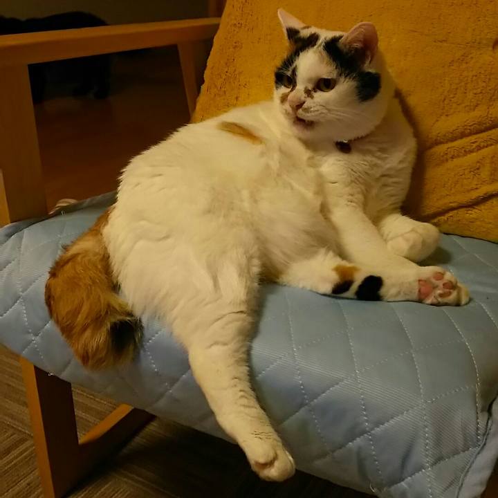 3dcf46e2 fd64 482a a8ce fd55dd34ef02