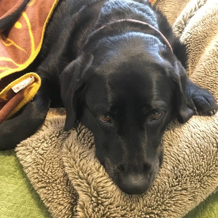 3dcf5ac7 51a6 4128 9689 8a90aad0dba7