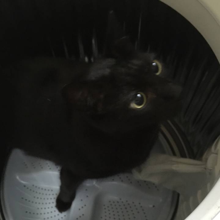 3dcf721c dd2c 4cca bce1 118608a619c0