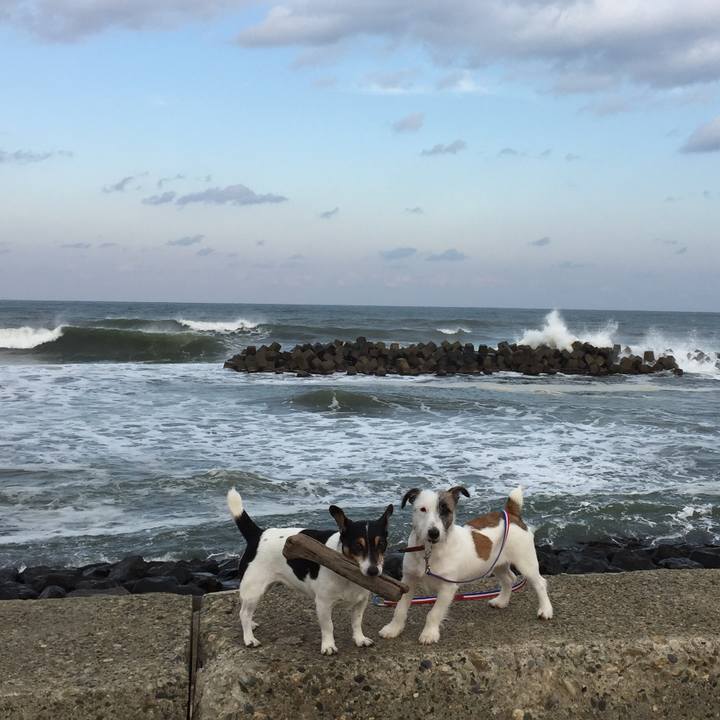 3dcfbc1c 2c13 4a13 9fa3 82e68355e74f