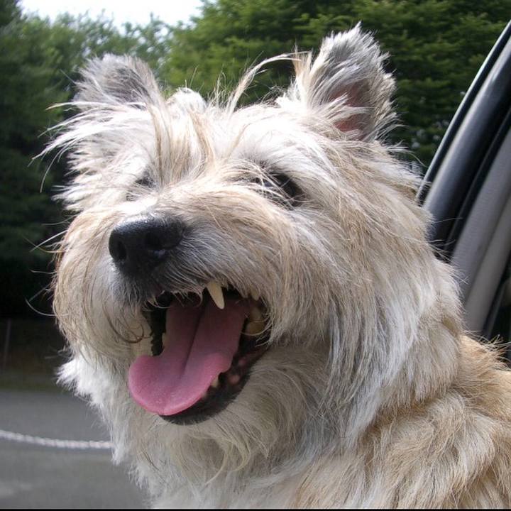 3dd0a386 05e0 4c87 93f9 fa80a62822de