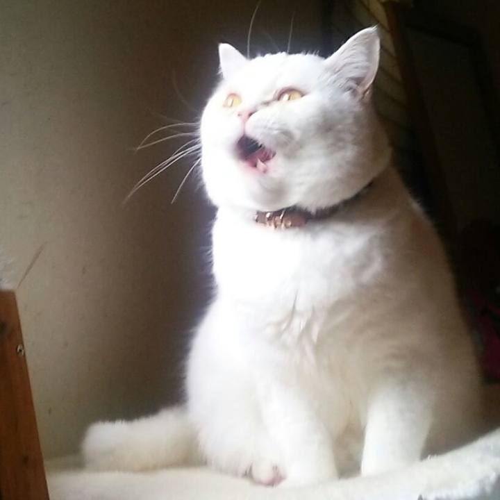 3dd0f0de eb6c 45ef b99c dfa4e185c278