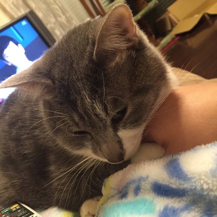 3dd14701 07d1 4400 980a 7b58b348a7ed