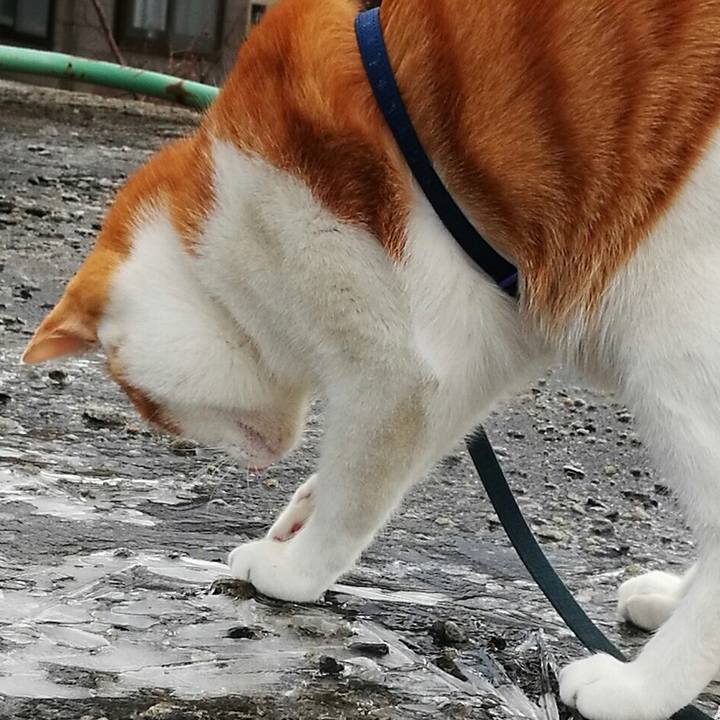 3dd18be3 4e2f 4d83 82cc 6d72b9c6b2a4