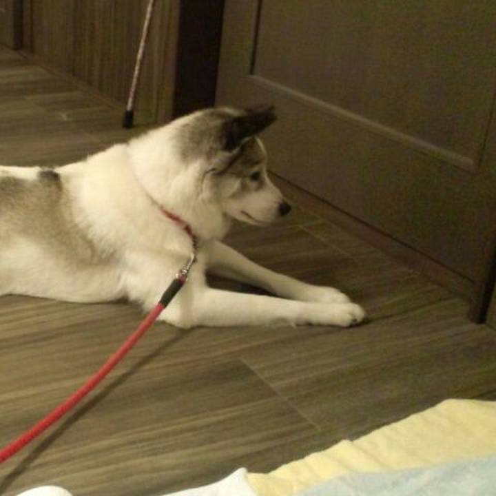 3dd1bb6a b237 40be b137 80d78afb2e86