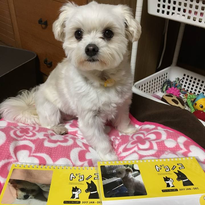 3dd1c2d9 0add 4cd2 a7ae 26f64dba4ee8