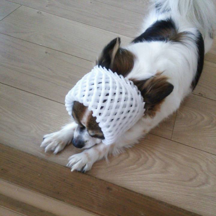 3dd1f7fb 82e4 43c7 9d61 f182ab74e52f