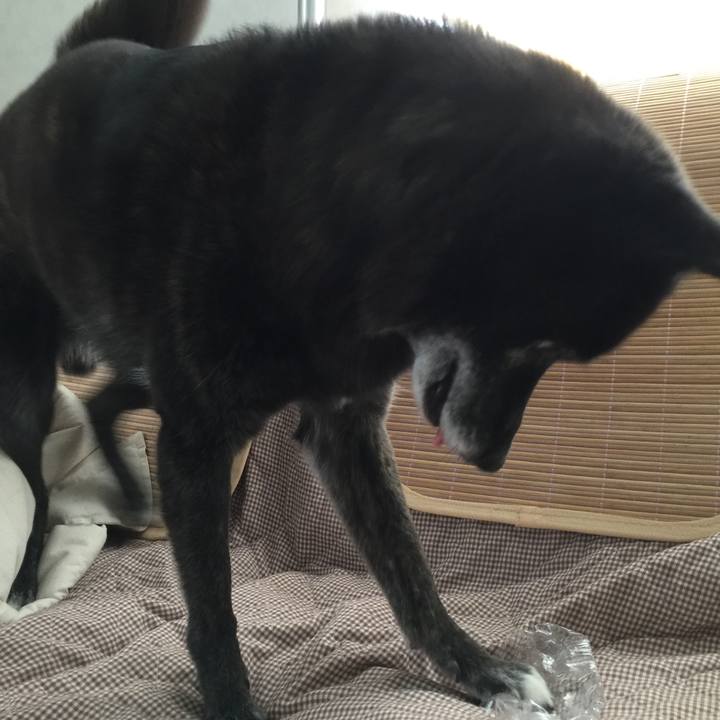 3dd22654 3459 492c b8f6 f753326ed0db