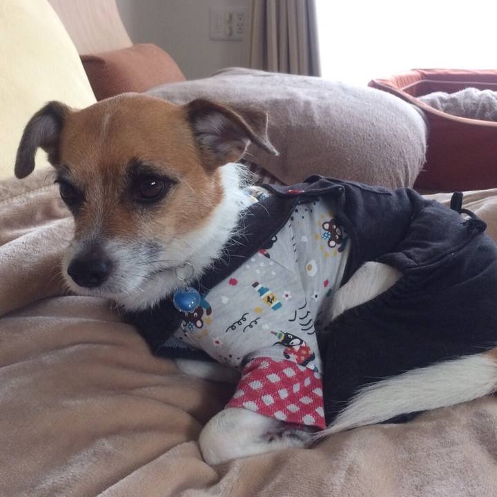 3dd2ca7d cf6d 44f5 84de 0347160c157d