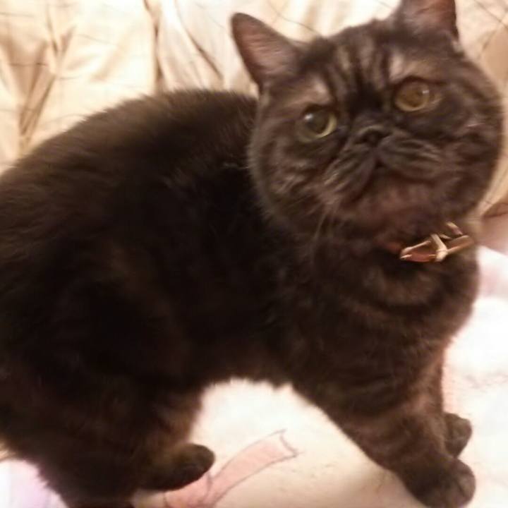 3dd2e26e 3308 469e a689 ac7505ba10f1