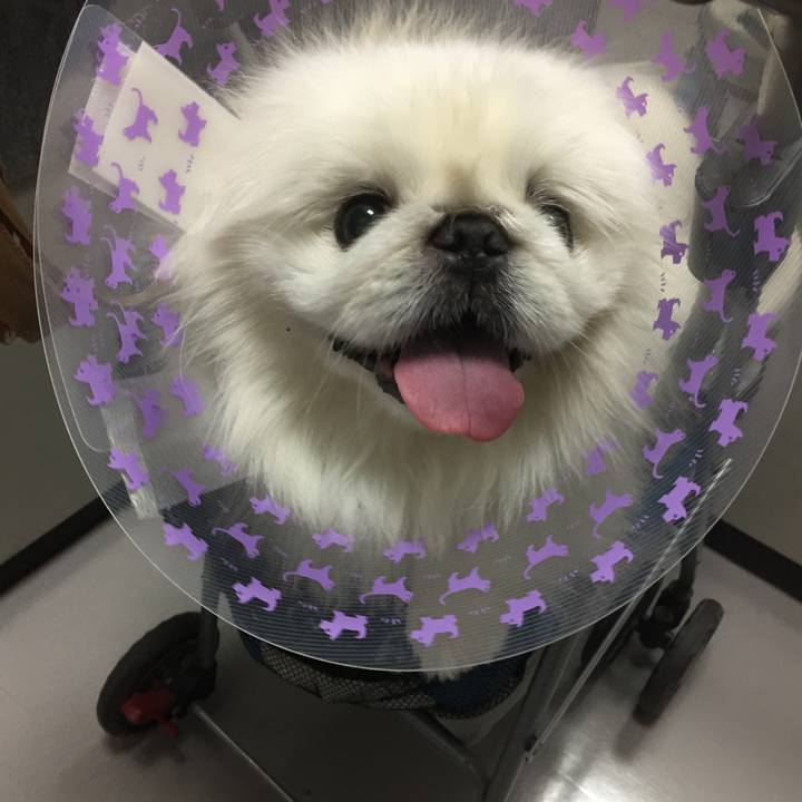 3dd3a46f 6702 483e ae6e f080554fca75