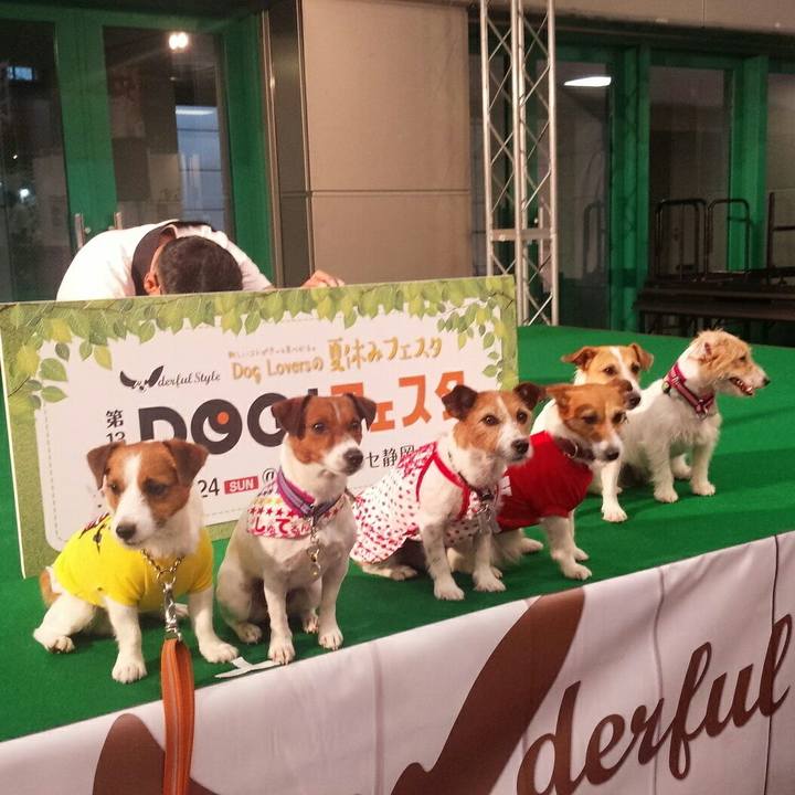 3dd3dc64 8972 464a b69a 0da20719c549