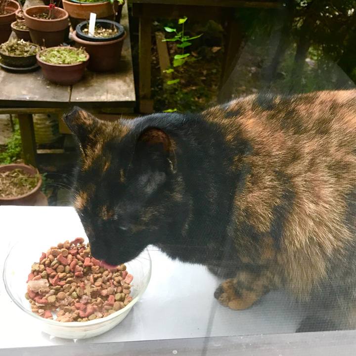 3dd404e7 80f4 466d 9afb d50b53c0645d