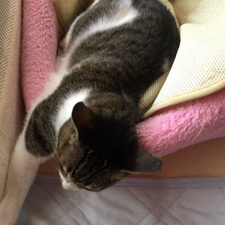 3dd42404 3e0a 4c6b 96b0 509ed1fb44f9