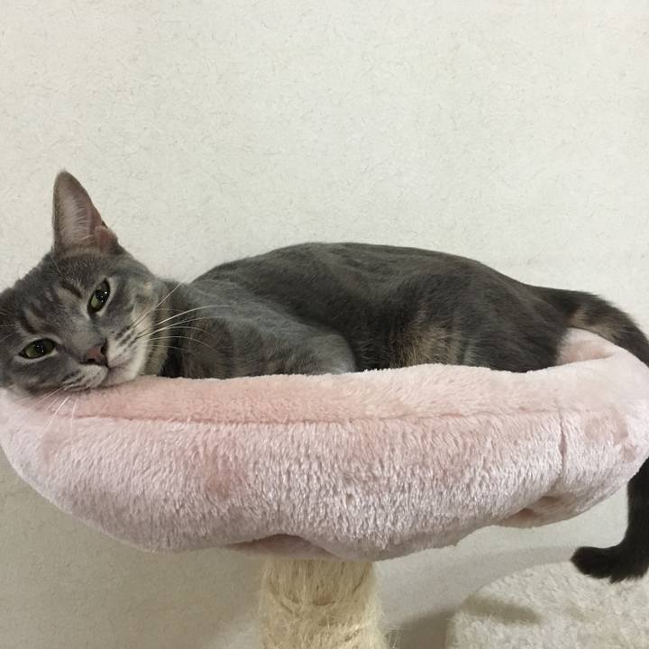 3dd4a90a 37d8 44f4 b6e0 6342e35677c8