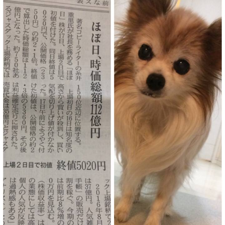 3dd4bc4c bf32 4419 ae0f 3dcb75bf61ac