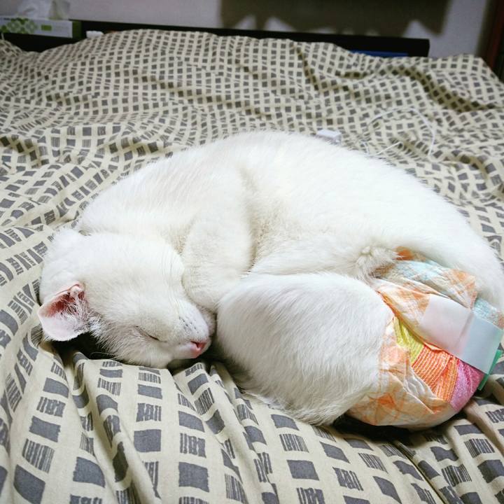 3dd53c1a 4126 49ef b398 3abc95c3ef42