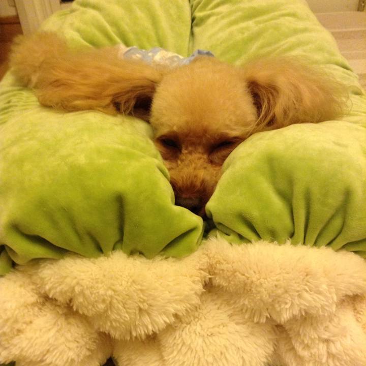 3dd603fd efd9 4a39 8994 bacc2af973b9