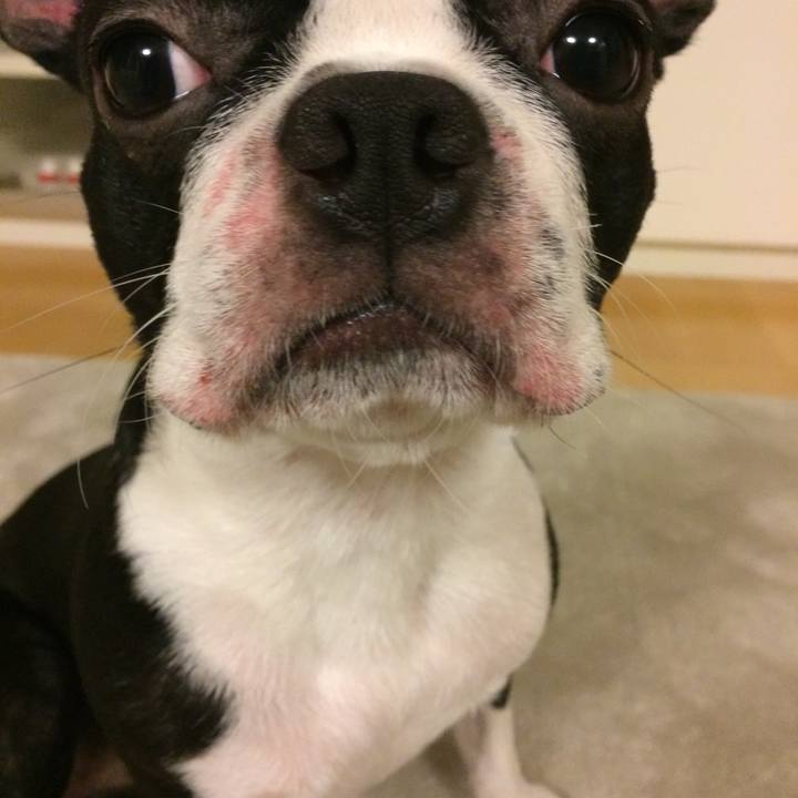 3dd72ca3 febd 466d bd02 087415bc149b