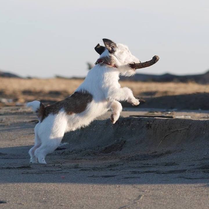 3dd7c3ef 2197 49c8 ae51 f5d634dde58d