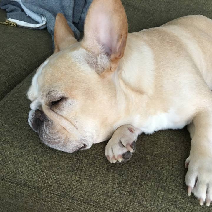 3dd7d960 84ee 4c37 89c3 59fe3300071c