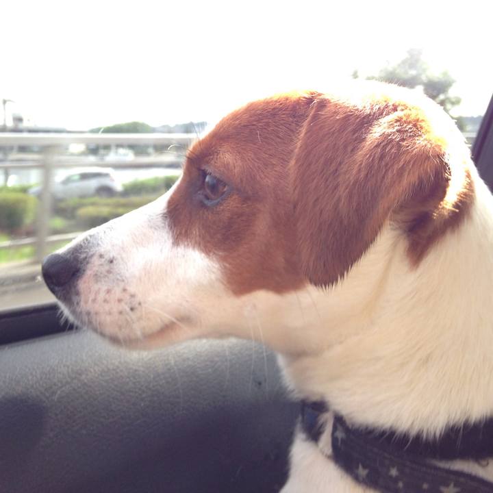 3dd8f358 c1c7 4d55 a401 445bf8c5474c