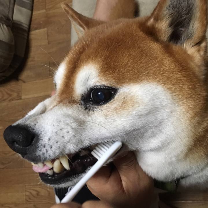 3dd9de59 e6aa 430d b962 9a65c10ae47c