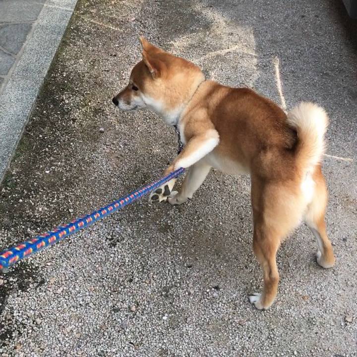 3dd9e89c 61bb 4b97 ae8c d931f5925173