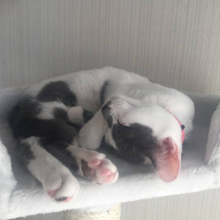 3dda39b9 64f4 454b a619 968755ebb1c1