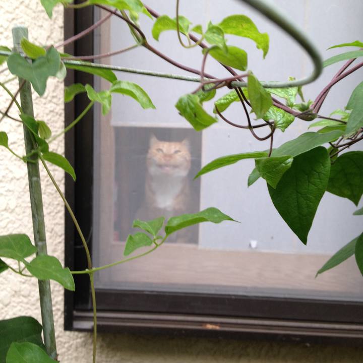 3dda7c0c abb8 42d0 89df debce00a7759