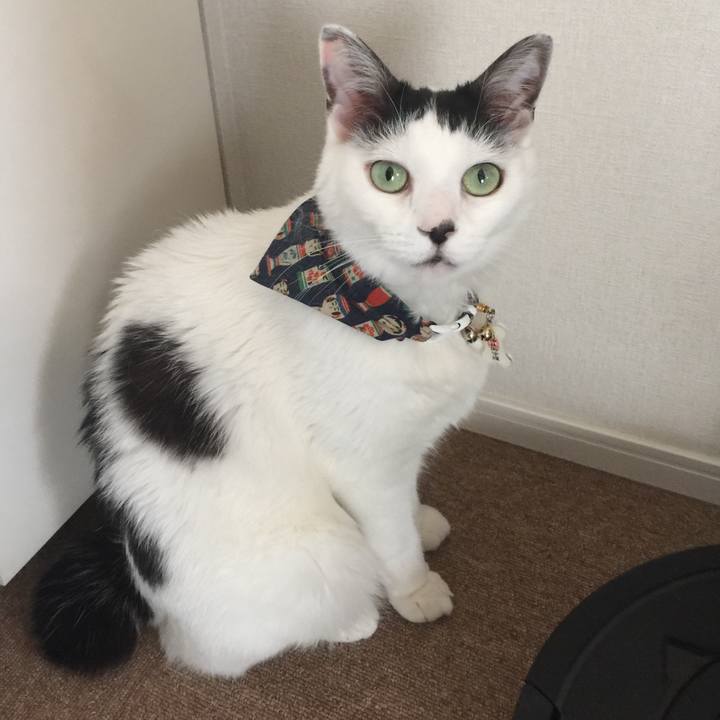 3ddb5b0e d9c4 45d0 8a12 6e1cf1e8b73c