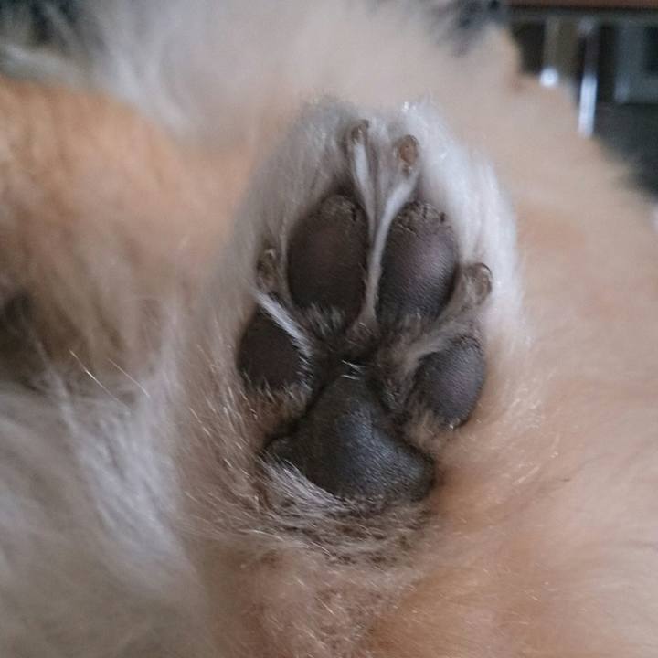 3ddba007 9097 434c 9dd6 3aac1fed57a5