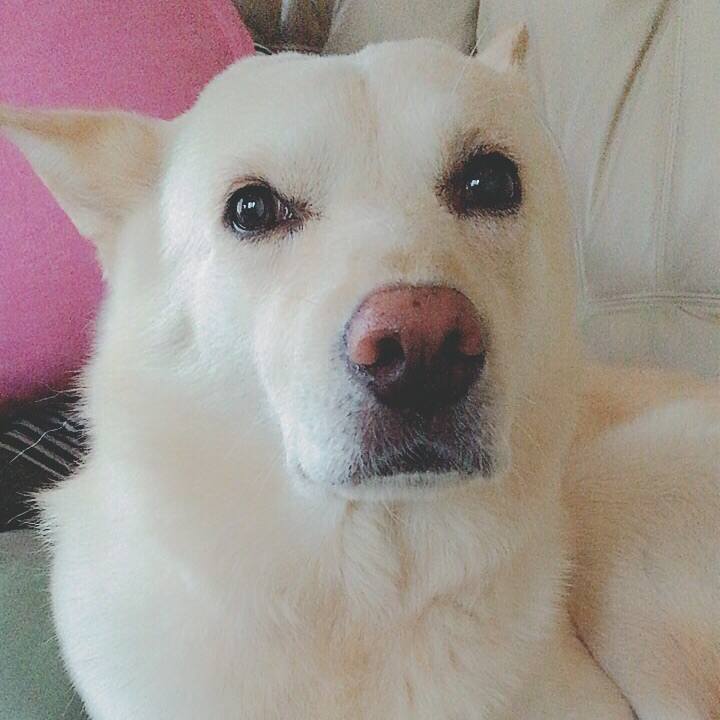 3ddc5d5c c98f 447f bc5b 7cebd55384cd