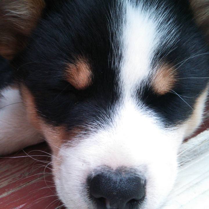 3ddce7e2 7fbd 4ac6 b218 f714e89e2463