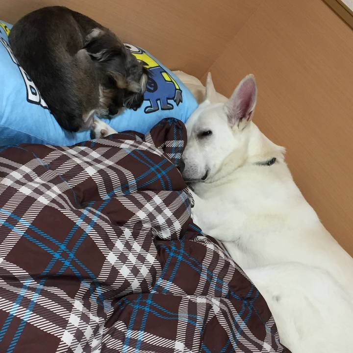 3ddcef4e 7a35 4aba b311 6702d802ce6b